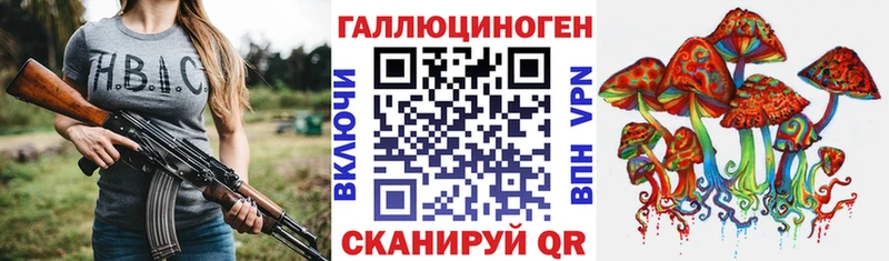 Псилоцибиновые грибы прущие грибы  Карачаевск 
