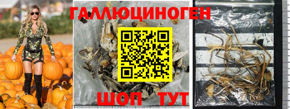 Галлюциногенные грибы ЛСД Карачаевск
