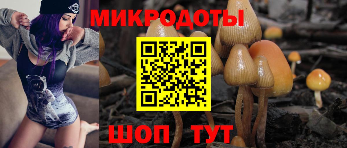 Карачаевск  Галлюциногенные грибы мицелий  Вход с VPN 