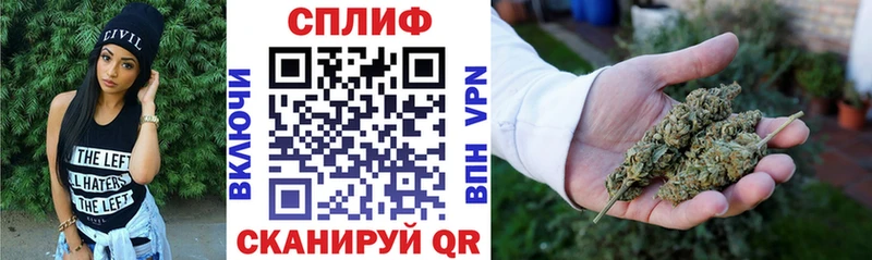 Канабис SATIVA & INDICA  Карачаевск 